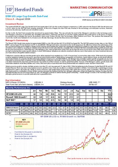 DSM A Factsheet August 2024