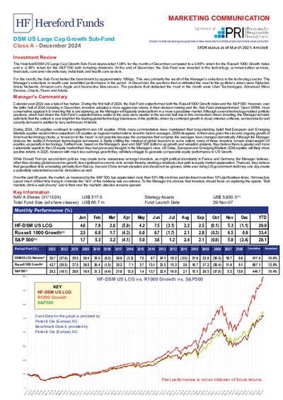 DSM A Factsheet December 2024