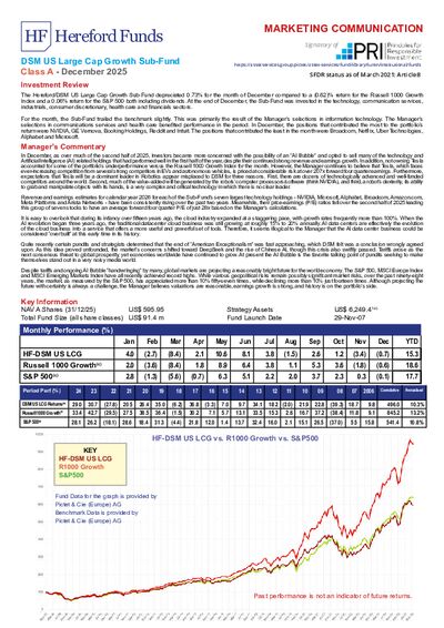 DSM A factsheet December 2025