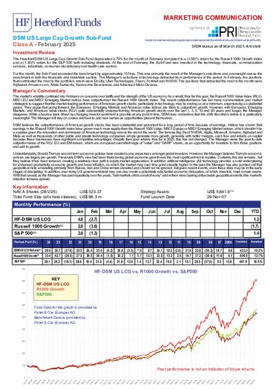 DSM A factsheet February 2025