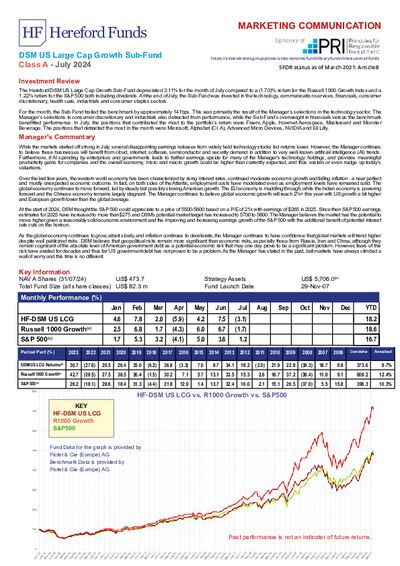 DSM A factsheet July 2024