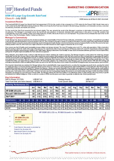 DSM A factsheet July 2025