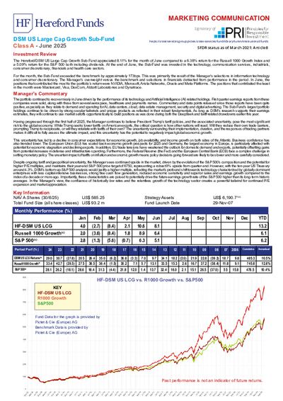 DSM A factsheet June 2025