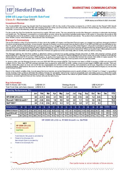 DSM A factsheet November 2025