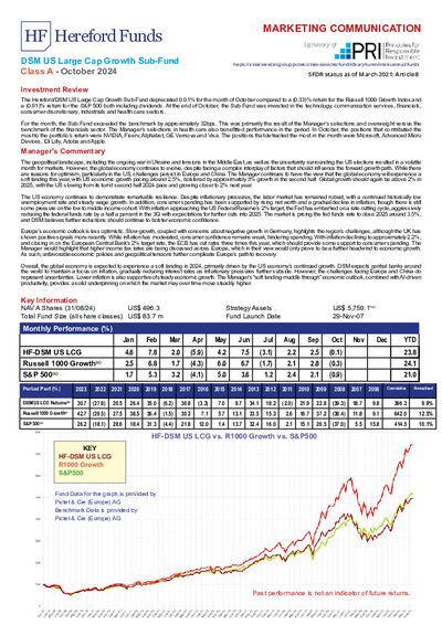 DSM A factsheet October 2024