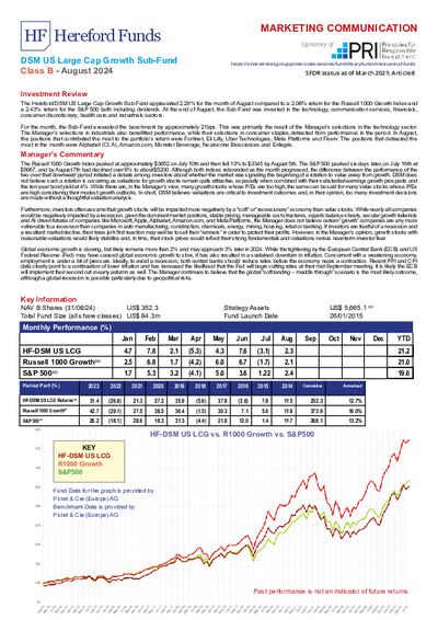 DSM B Factsheet August 2024