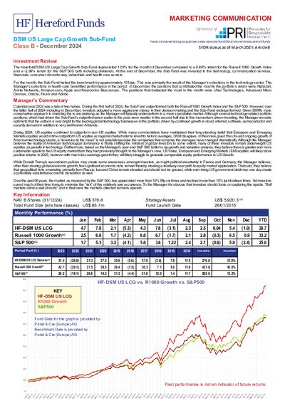 DSM B Factsheet December 2024