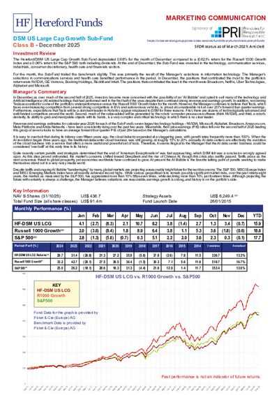 DSM B factsheet December 2025