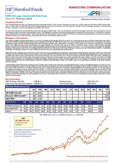 DSM B factsheet February 2025