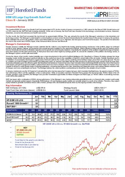 DSM B January factsheet