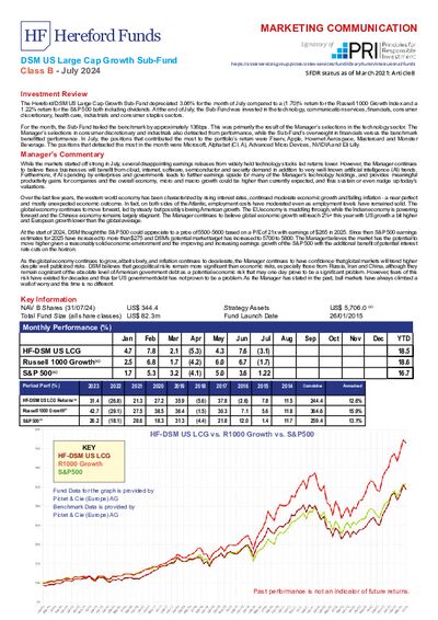 DSM B factsheet July 2024