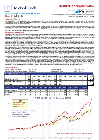 DSM B factsheet July 2025