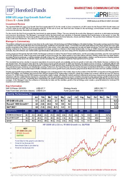 DSM B factsheet June 2025