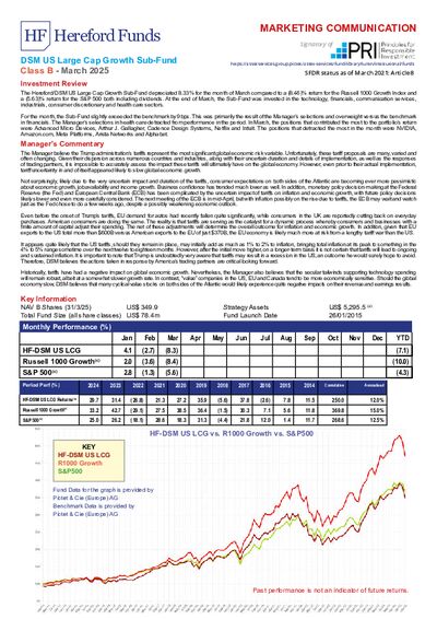 DSM B factsheet March 2025
