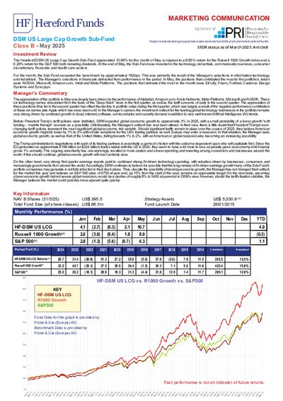 DSM B factsheet May 2025