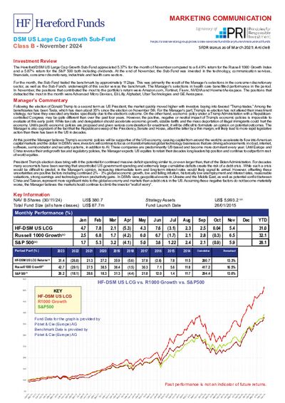 DSM B Factsheet November 2024