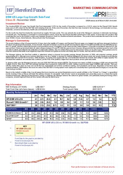 DSM B factsheet November 2025