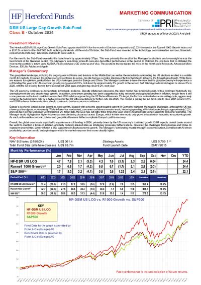 DSM B factsheet October 2024