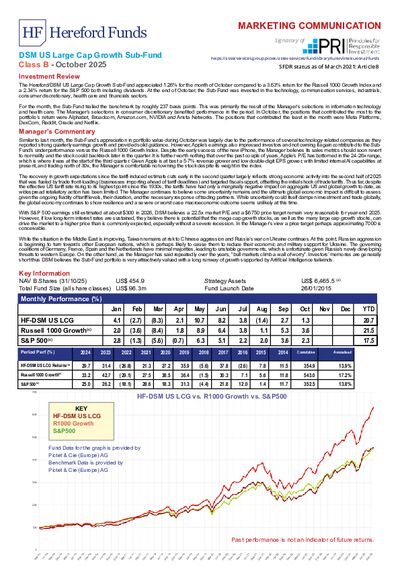 DSM B factsheet October 2025