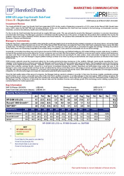 DSM B factsheet September 2025