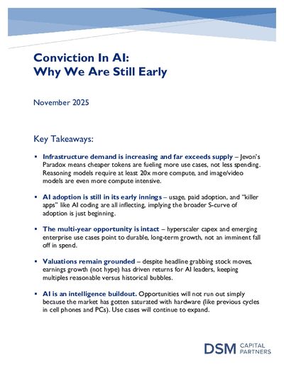 DSM Conviction in AI Why We Are Still Early